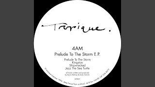 Shipwrecked (Original Mix)