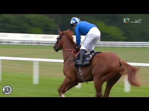 2021漢普頓宮錦標(G3)