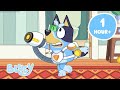 LIVE Exciting Games With Bluey And Bingo Best Bluey Games Bluey