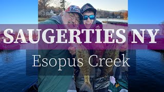 Hudson River Tidal Esopus Creek // The Hammer ZEROs??