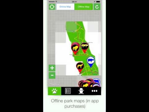 Africa: Live Safari Sightings Video