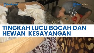 Viral, Tingkah Lucu Bocah Asal Meksiko Selimuti hingga Tidur Bareng Keledai di Ranjang