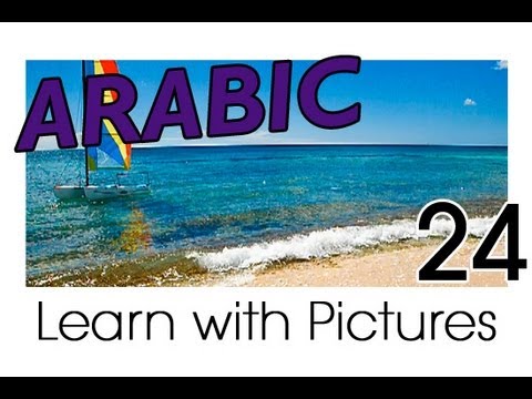 Learn Arabic Arabic Vegetable Vocabulary