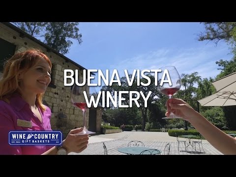 Vineyard Profile - Buena Vista Winery