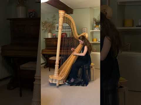 'Anamorphoses' - Bernard Andrès