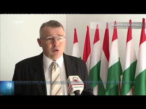 Kizárták a Fideszből a hatvani polgármestert 16-08-30