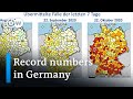 Coronavirus Update Record Numbers In Germany DW News