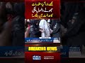 Anmol Pinky’s Serious Allegations Against Police | Court Hearing Update | Shorts | Samaa TV