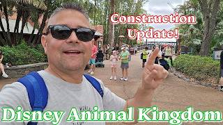 Disney's Animal Kingdom Tropical Americas Construction Update And Spring Break Has Arrived!