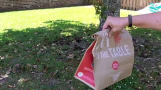 Beekeeping, part 2. The Swarm.