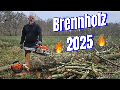 Firewood 2025 | Something always goes wrong | But we have fun