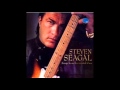 Steven Seagal feat  Lady Saw   Me Want The Punani