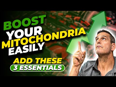 Boost Your Mitochondria Easily  Add These 3 Essentials