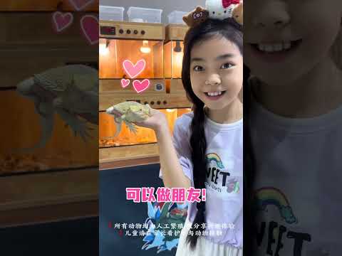 什麼？女兒要養隻蜥蜴🦎當寵物？😂 #神奇動物在抖音萌寵出道計劃 #爬寵 #記錄孩子的點點滴滴 #暑假生活 #豹紋守宮
