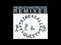 A Tribe Called Quest I Left My Wallet In El Segundo Vampire Remix