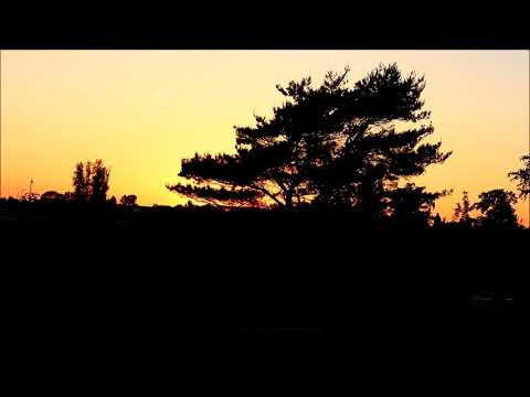 Bodyscan van Edel Maex