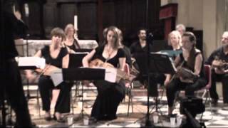 Nyckelharpa Orchestra ENCORE The Serra of Visions by Jonathan Wanneby - Bertinoro 10-8 2013