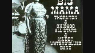 Big Mama Thornton &amp; Chicago All Stars &amp; Muddy Waters&#39; Blues Band