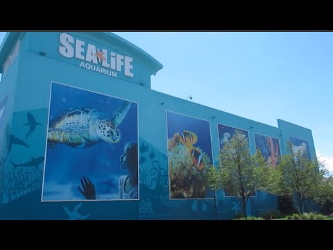 image-Is the Detroit aquarium open all year? 