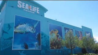 Sea Life Aquarium - Great Lakes Crossing Michigan