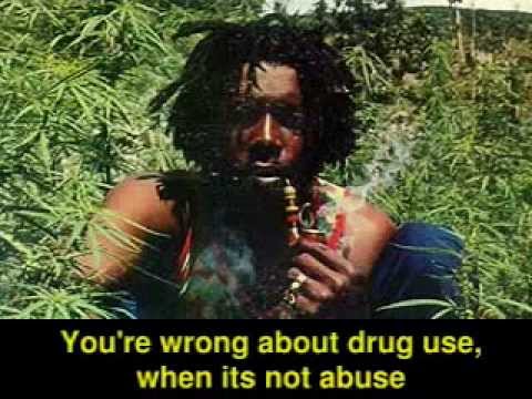 PUNK ROCK BEST (Atheist Vegan War Weed OWS Gay) Bob Marley Green Day Clash NOFX You're wrong
