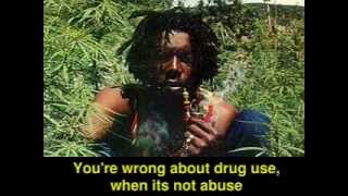 PUNK ROCK BEST (Atheist Vegan War Weed OWS Gay) Bob Marley Green Day Clash NOFX You're wrong
