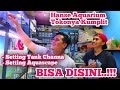 Jual Ikan Hias Di Aquarim Hidup