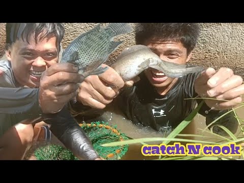 P1Jackpot sa Bagong Spot!!Ang Lalaki Ng Hito at Tilapiang Huli nila master!!@@junstv6115