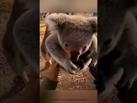 Bir Adam, Dört Hayat, Tek Mucize#trending#viralvideo#shorts