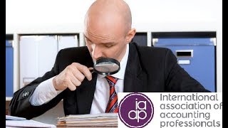 Внутренний аудит и система СВК (IAAP). Открытое занятие (20.11.2017)