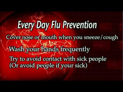 Flu: The Smart Virus