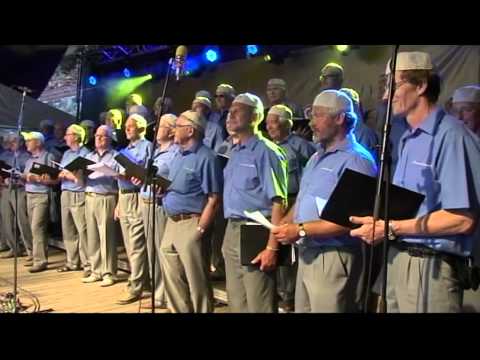 Tuulelõõtsutajad ja Inseneride meeskoor - Pillimehe leib