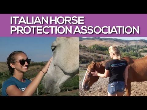 Vegan Travel to Italian Horse Protection Association