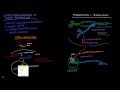 Khan Academy Talent Search RNAi