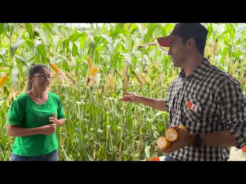 2º Dia de Campo - Senador Cortes-MG