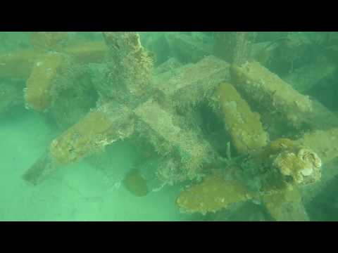 image-Can you snorkel at Hollywood beach Florida?