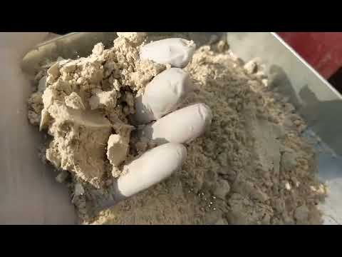 Asparagus racemosus liferr shatavari powder, packaging size:...