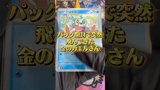 【ポケカ】MURは突然に #ポケモンカード #shorts