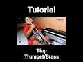 BAGAIMANA TIUP TROMPET YANG BENAR