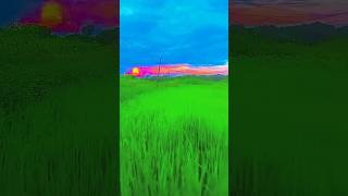 Download lagu 👌trending Get ready, MotoGP fans! The 2024 season is about to kick off, and this year is sha mp3