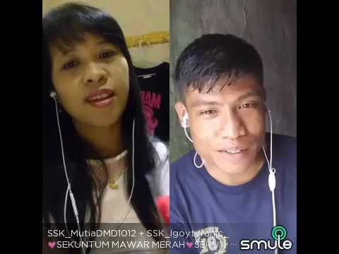 Sekuntum mawar merah