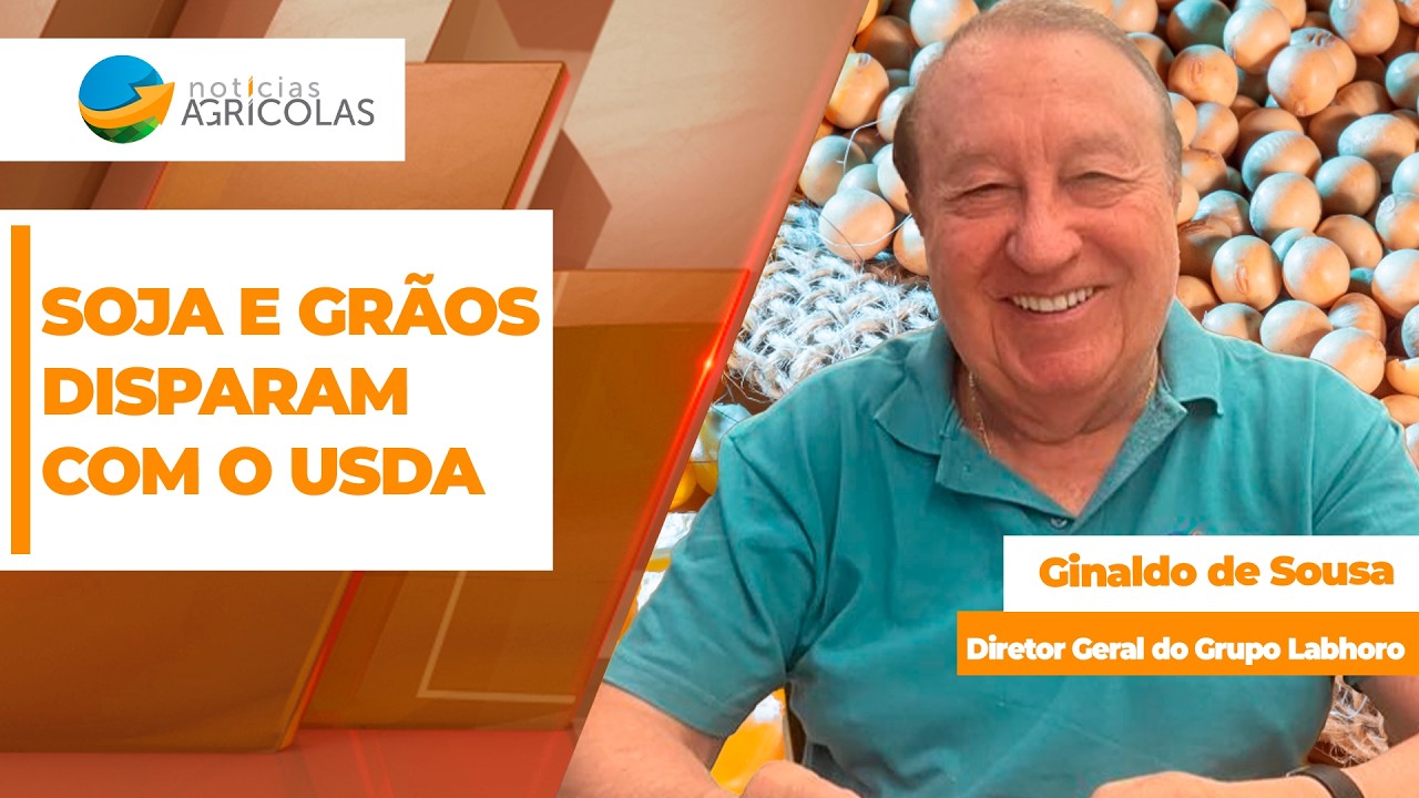 MERCADO DA SOJA - EDIÇÃO 12/08/2026