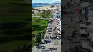 VENICE BEACH - BRIAN WILSON