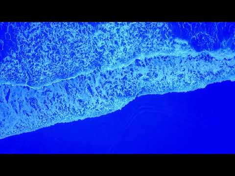 Ocean waves from a bird's perspective