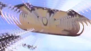 Pond - Outside is the right side (slowed)