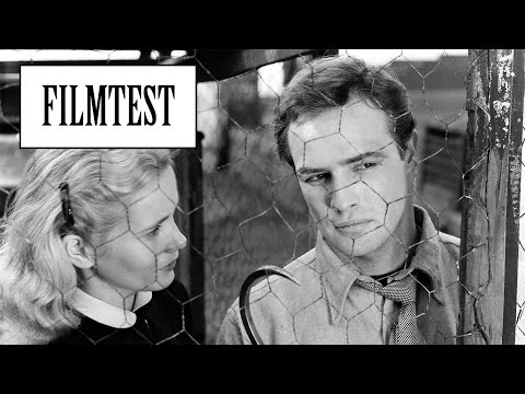 On the Waterfront (1954) | FILM TEST