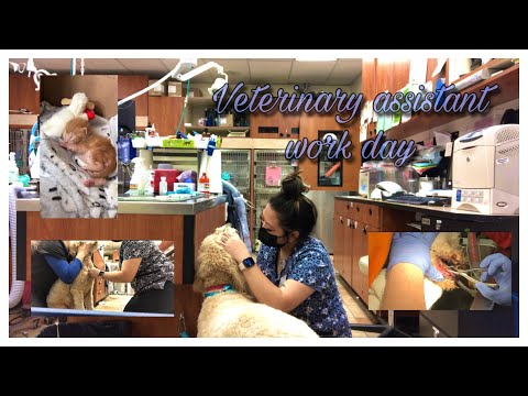 Dr. Sara May, Allergy and Immunology