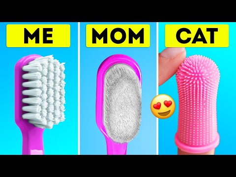 CAT VS. ME | Our Family Is Amazed With These Cute And Smart Pet Gadgets