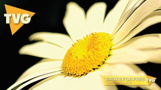 Broke For Free - Summer Spliffs