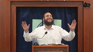 להקדים שלום לכל אדם | הרב שחר אימבר | שיחות התחזקות | 32 (ישיבת ברכת יוסף - אלון מורה) - התמונה מוצגת ישירות מתוך אתר האינטרנט יוטיוב. זכויות היוצרים בתמונה שייכות ליוצרה. קישור קרדיט למקור התוכן נמצא בתוך דף הסרטון להקדים שלום לכל אדם | הרב שחר אימבר | שיחות התחזקות | 32 (ישיבת ברכת יוסף - אלון מורה) - התמונה מוצגת ישירות מתוך אתר האינטרנט יוטיוב. זכויות היוצרים בתמונה שייכות ליוצרה. קישור קרדיט למקור התוכן נמצא בתוך דף הסרטון